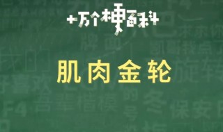 肌肉金轮是什么梗 肌肉金轮的脸是谁的