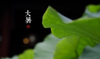 大暑节气祝福短信 大暑节气祝福短信有哪些