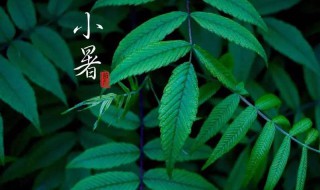 北方小寒节气吃什么食物介绍 北方小寒节气吃的食物有哪些