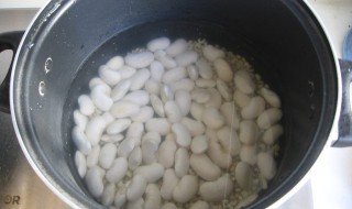 白豆怎么煮好吃 怎样做白豆好吃