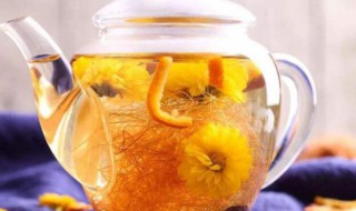 柠檬菊花茶的功效与作用及禁忌 柠檬菊花茶有什么功效