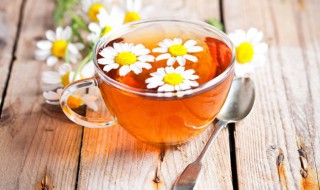 喝野菊花茶有什么功效 喝野菊花茶对人体的好处