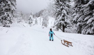 梦见雪地里走路 梦见雪地里走路的寓意