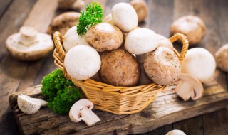 蘑菇怎样炒好吃 如何做炒蘑菇