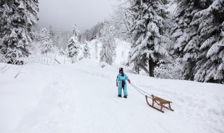 冬季滑雪的技巧有哪些 冬季滑雪牢记技巧