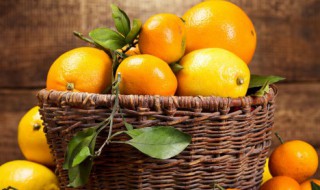 橘子的营养价值功效与作用 关于橘子的营养价值功效与作用
