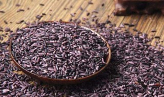 紫米是淀粉类食物吗 紫米是不是淀粉类食物