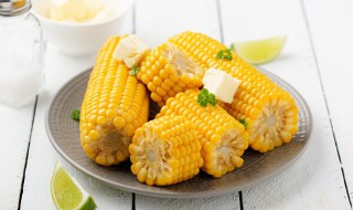 请问玉米是属于淀粉类食物吗 玉米属不属于淀粉类食物