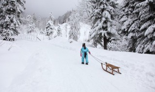 雪拼音怎么拼写 雪拼音是什么