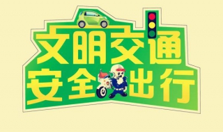 #过年#怎样安全出行，要严格按照道路交通法规