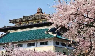 游.武汉——国立武汉大学 武汉的名景是樱花吗？
