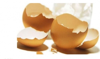 鸡蛋壳的妙用 有哪些呢？