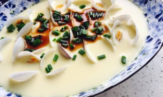 花蛤的做法：美味的花蛤豆腐汤