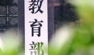 如何移动端关注教育部官网？三个具体步骤供大家使用