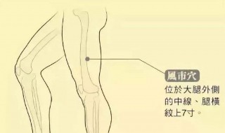 瘦大腿内侧的方法 瘦大腿内侧的方法介绍