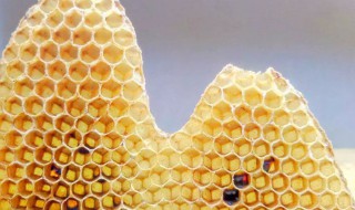 蜂蜡的制作方法 蜂蜡怎么制作
