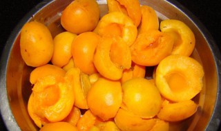 杏子罐头的制作方法 杏子罐头怎么制作