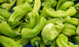 青椒的做法大全家常菜 青椒的做法有哪些呢
