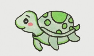 海龟怎么画 海龟简笔画教程