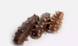 海参每次吃多少条合适 吃海参每次合适的量