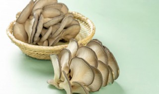 吃蘑菇可以减肥吗 吃蘑菇能不能减肥