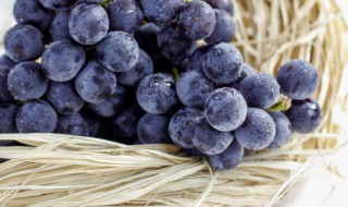 葡萄一天吃多少合适 每天吃多少葡萄最佳
