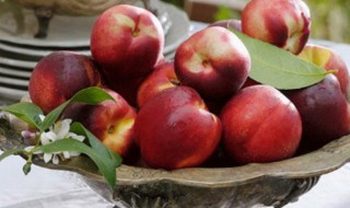 油桃每天吃多少合适 油桃能多吃吗