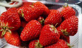 一天吃多少草莓为宜 一天吃多少草莓合适