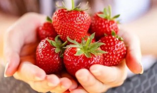 草莓吃了过敏可以怎么缓解 草莓吃了过缓解的方法