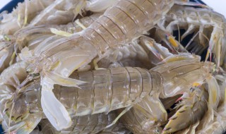 基围虾一般煮几分钟能熟 煮基围虾的时间