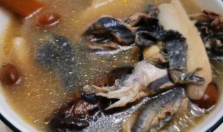 乌鸡白果汤的做法 乌鸡白果汤的做法介绍