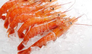 红虾可以生吃吗 红虾可不可以生吃