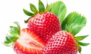 蜂蜜草莓可以吃吗 蜂蜜草莓可以一起吃吗