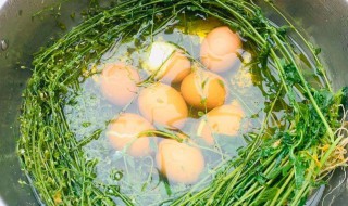 三月初三荠菜花煮鸡蛋吃了头不晕的做法 三月初三荠菜花煮鸡蛋怎么做