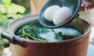 益母草鸡蛋粥的做法 怎样做益母草鸡蛋粥