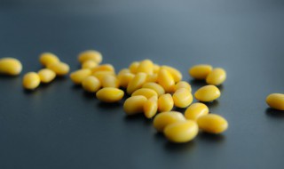 黄豆怎么做最好吃 黄豆如何做最好吃