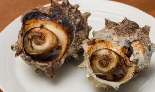 海螺怎么炒好吃 炒海螺方法