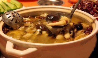草菇和什么烧汤好吃 草菇排骨汤的做法