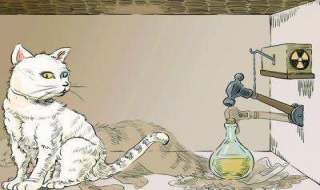 &quot;薛定谔的猫&quot;是什么？和动物相关的著名实验有哪些？