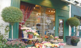 告诉你实体花店给鲜花保鲜的四个方法 到底有什么方法呢