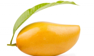 芒果的吃法：好吃的芒果布丁