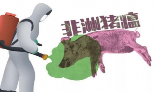 非洲猪瘟有非法制售情况，正确挑选猪肉的技巧！