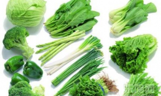 有机蔬菜比普通蔬菜有营养吗? 有机蔬菜更自然清新