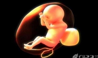 胎儿肾积水怎么办 胎儿肾积水的治疗办法