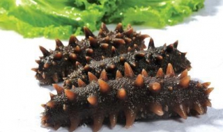 鲜海参的做法有哪些 海参鲜虾粥怎么做