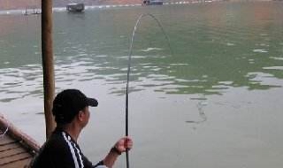 手杆钓鱼技巧 有哪些实用的钓鱼方法？
