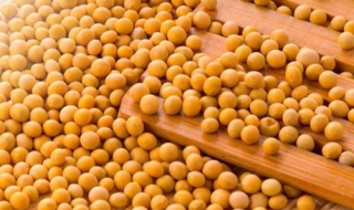 醋泡黄豆的做法是怎么样的 黄豆要泡多久才可以吃