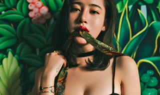 绿茶女什么意思 绿茶婊什么意思