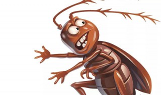 家里的蟑螂是怎么来的 家里的蟑螂来源详解