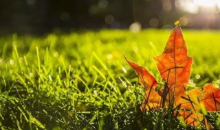 10月2号早晨祝福语 10月2号早晨祝福语列述